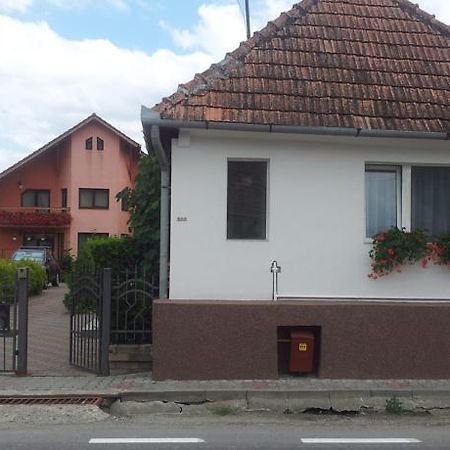 Casuta Andrey & Dan Villa Mihai Viteazu  Exterior foto