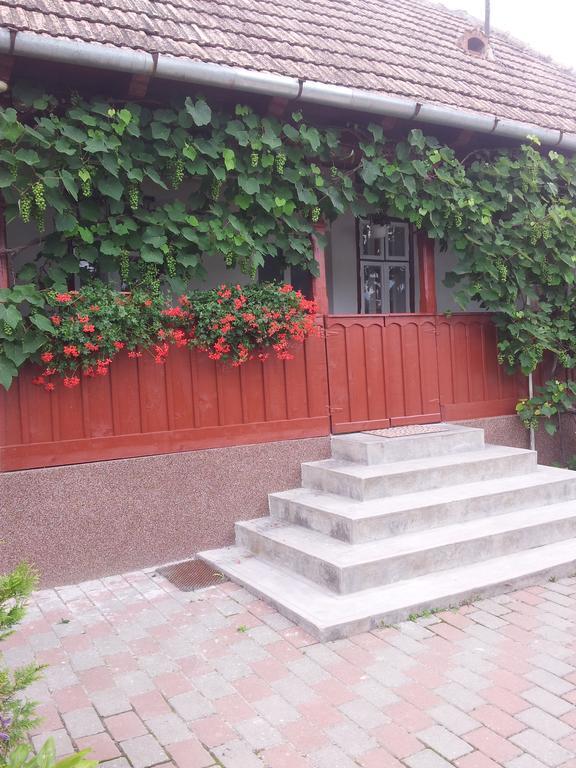 Casuta Andrey & Dan Villa Mihai Viteazu  Habitación foto