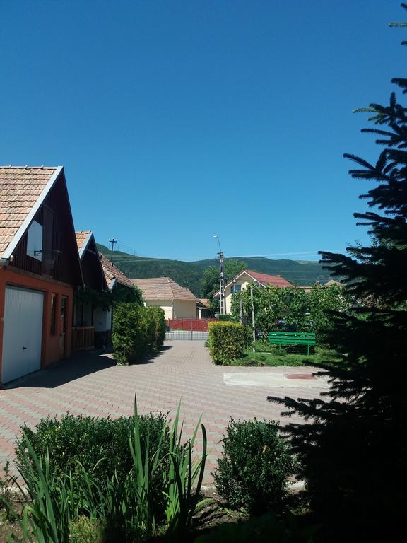 Casuta Andrey & Dan Villa Mihai Viteazu  Exterior foto